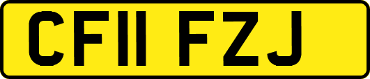 CF11FZJ