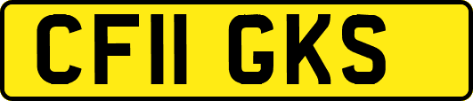 CF11GKS