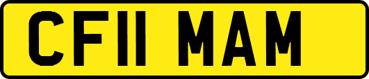 CF11MAM