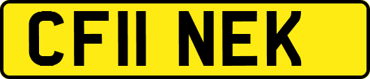 CF11NEK