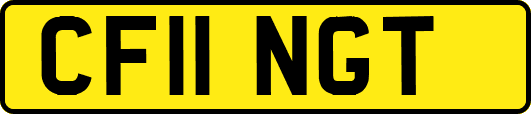 CF11NGT