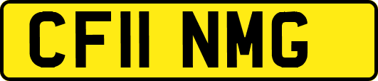 CF11NMG