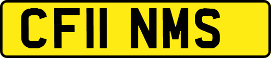 CF11NMS
