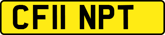 CF11NPT