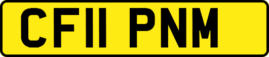 CF11PNM
