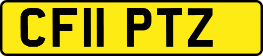 CF11PTZ