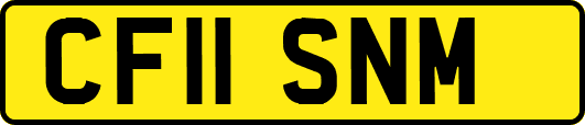 CF11SNM