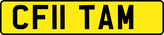 CF11TAM