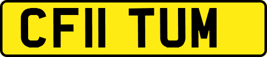 CF11TUM