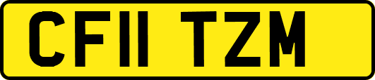 CF11TZM