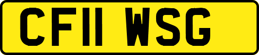 CF11WSG