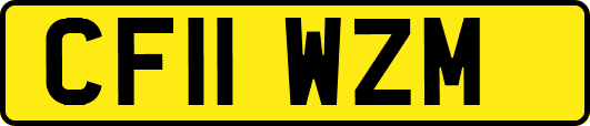 CF11WZM