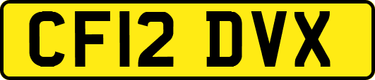 CF12DVX