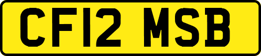 CF12MSB