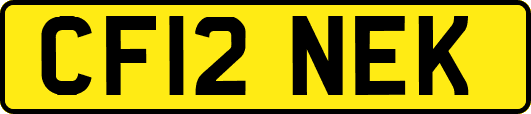 CF12NEK
