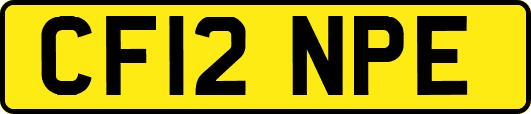 CF12NPE