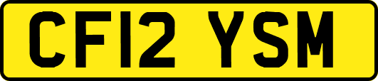 CF12YSM