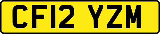CF12YZM