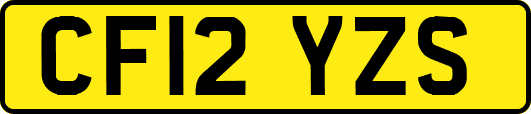 CF12YZS