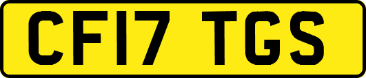 CF17TGS