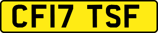 CF17TSF