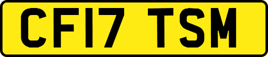 CF17TSM