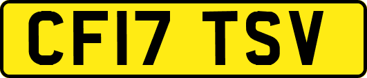 CF17TSV
