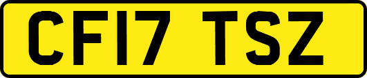 CF17TSZ
