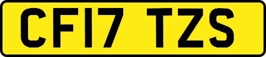 CF17TZS