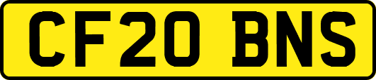 CF20BNS