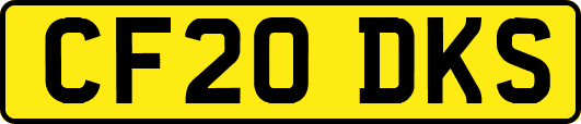 CF20DKS