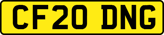 CF20DNG