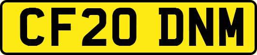 CF20DNM