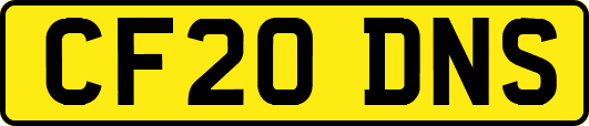 CF20DNS