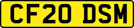 CF20DSM