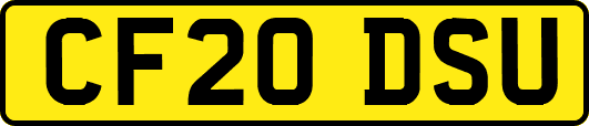 CF20DSU