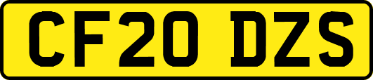 CF20DZS