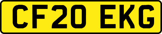 CF20EKG