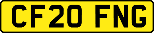 CF20FNG