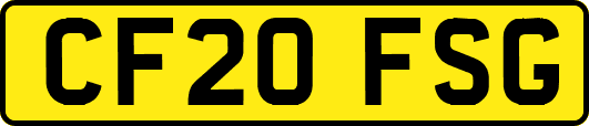 CF20FSG
