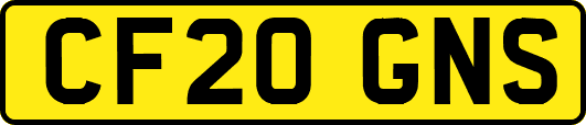 CF20GNS