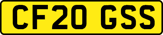 CF20GSS