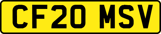 CF20MSV