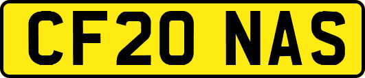 CF20NAS