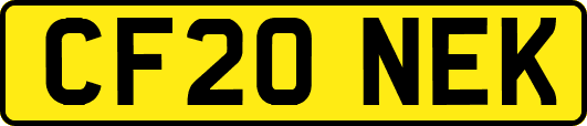 CF20NEK