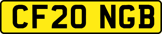 CF20NGB