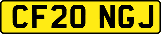 CF20NGJ