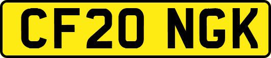 CF20NGK