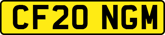CF20NGM