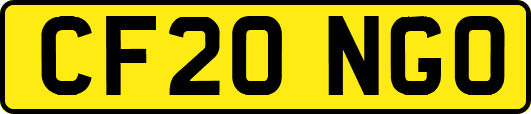 CF20NGO
